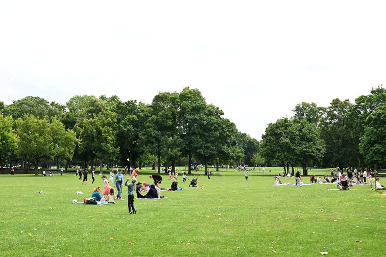 Prairie dans le parc public