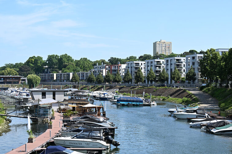 Rive du Rhin au port d'hiver