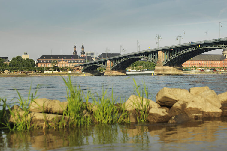Theodor Heuss Bridge