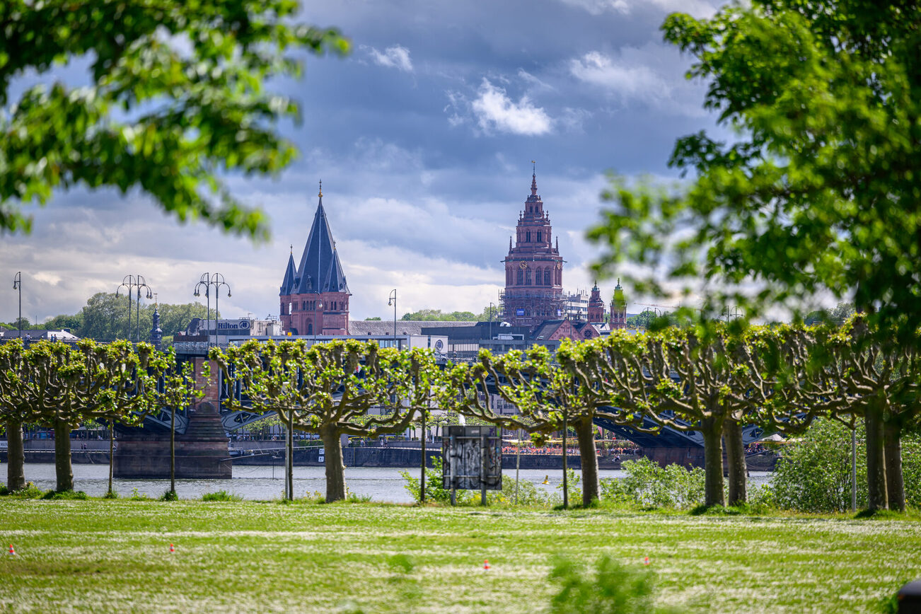 View of Mainz from the banks of the Rhine in Kastel