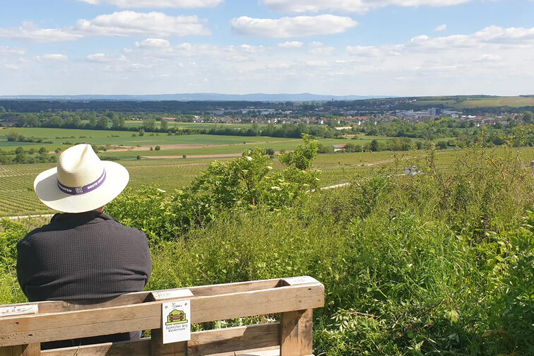 Laubenheim bench hike