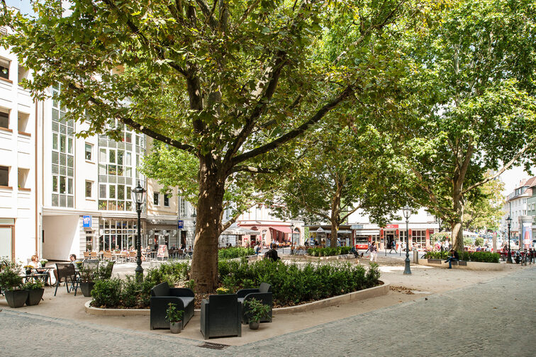 Хмільник 2017