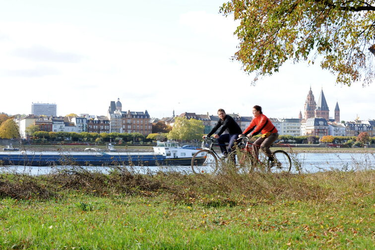 Cyclists on the Maaraue, the Mainz city skyline in the background