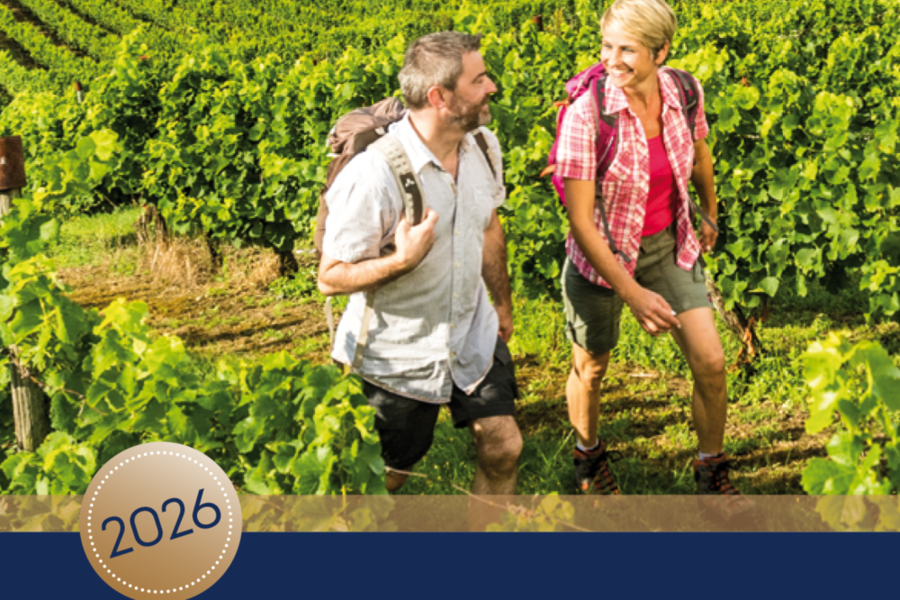 Immagine di copertina della guida dei vini 2026: un uomo e una donna nel vigneto