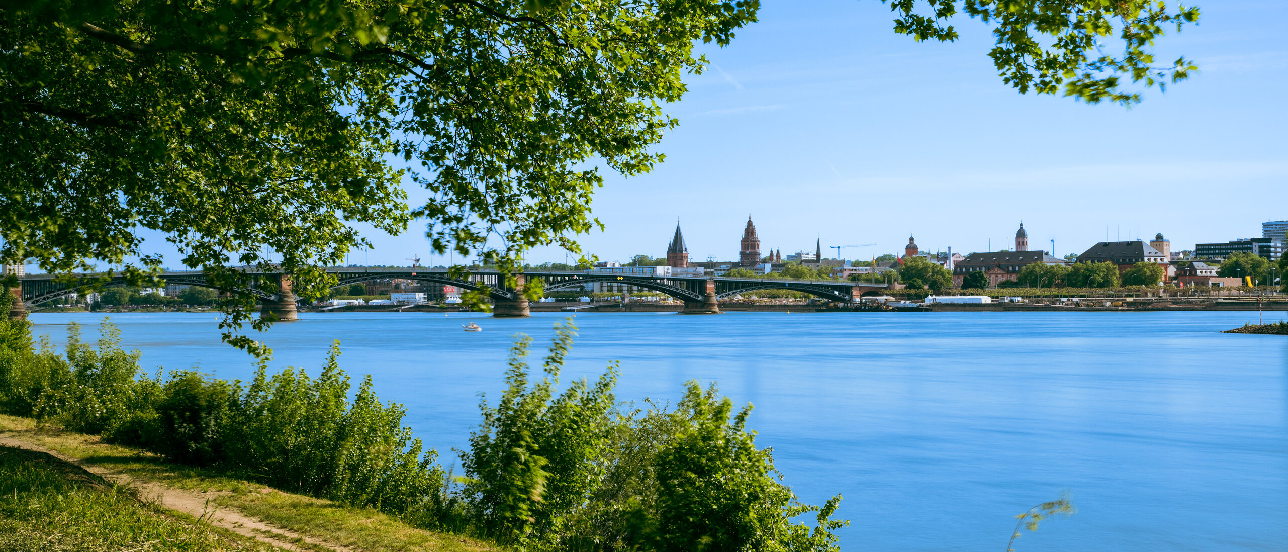 Riva del Reno con vista sul ponte Theodor Heuss e la cattedrale