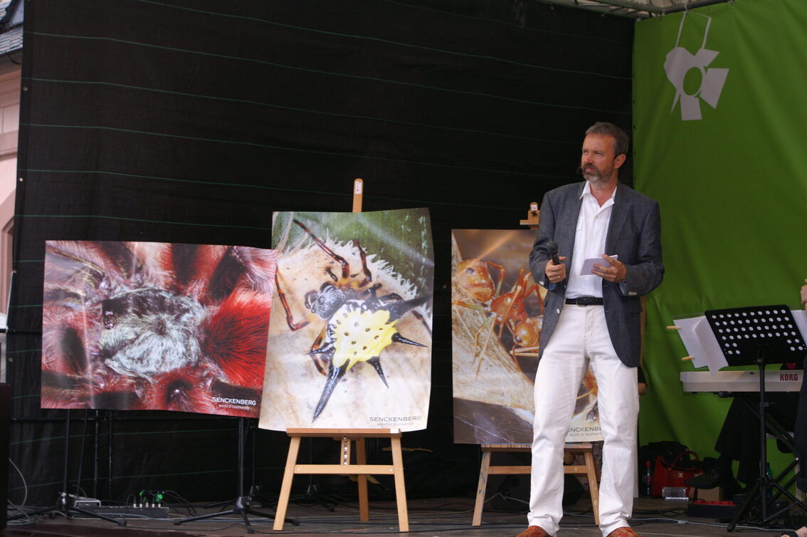 Дослідники павуків з музею Сенкенберга на сцені