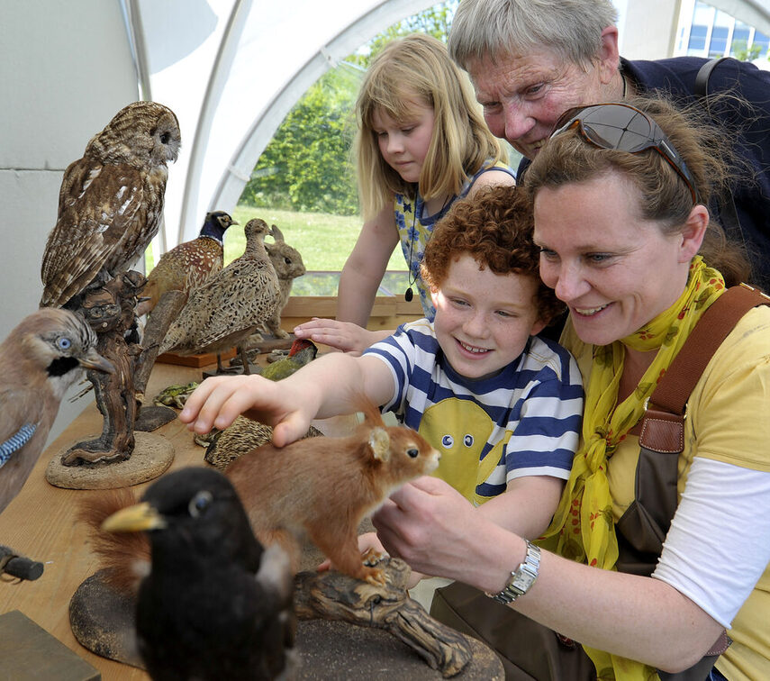 Хлопчик гладить опудало білки