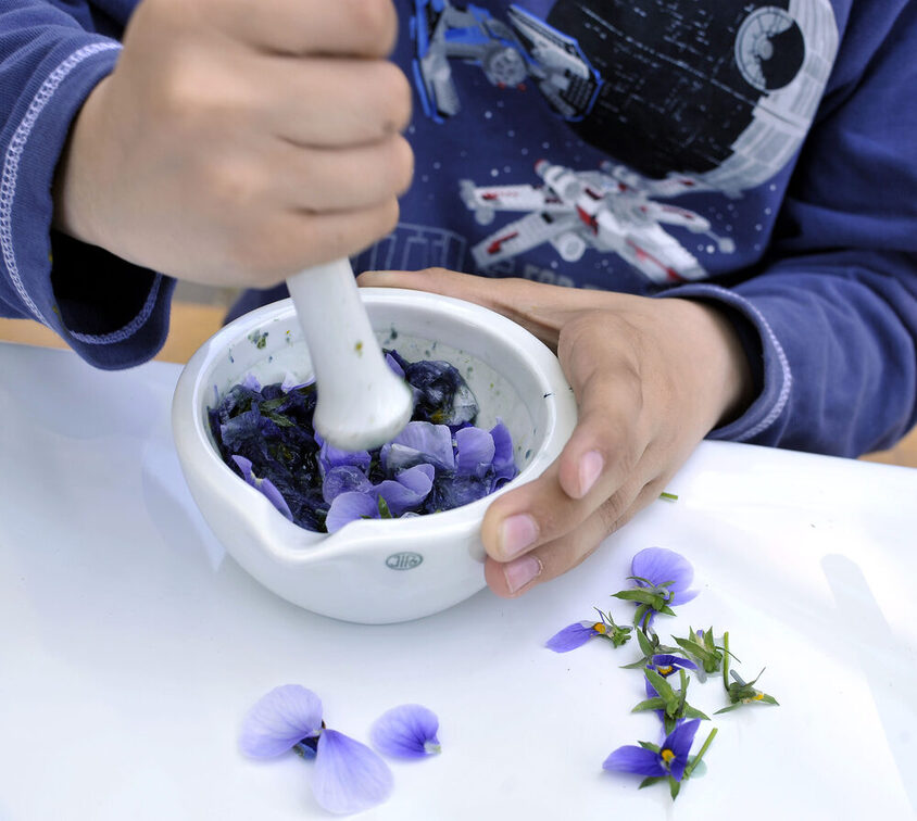 Дівчинка товче квіти товкачем