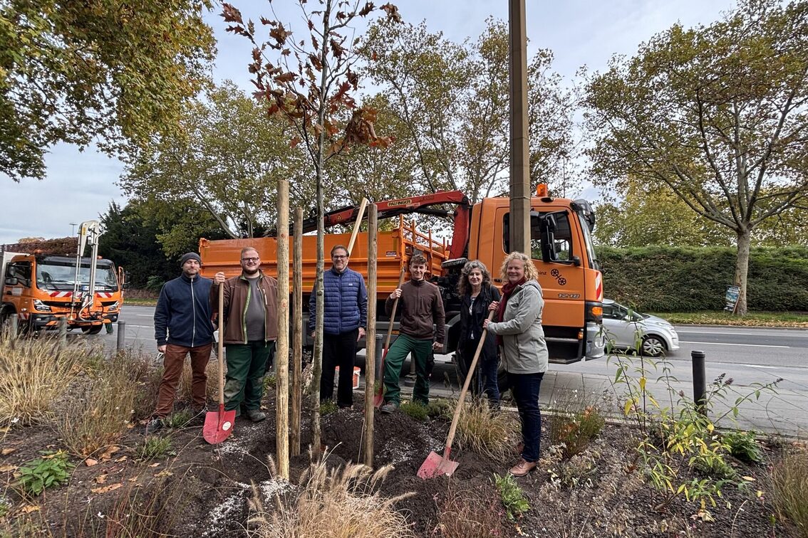 Plantation de l'arbre de l'année pour clore la série de manifestations