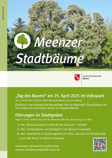 Affiche Arbres de la ville de Meenz