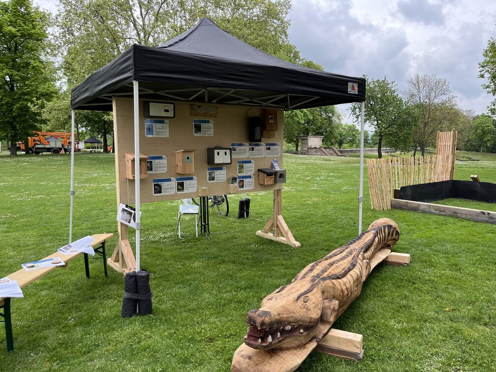 Aperçu des jeux en bois et des nichoirs à oiseaux