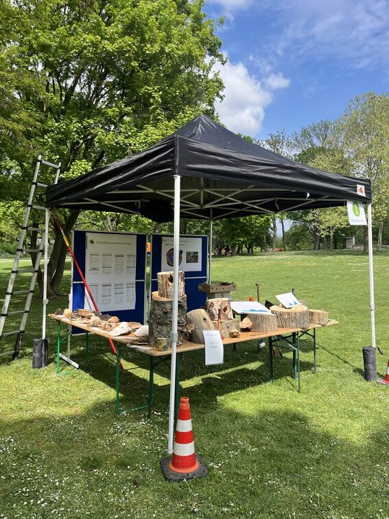Station de contrôle des arbres