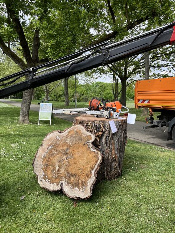 Station de prélèvement d'arbres vs. conservation d'arbres