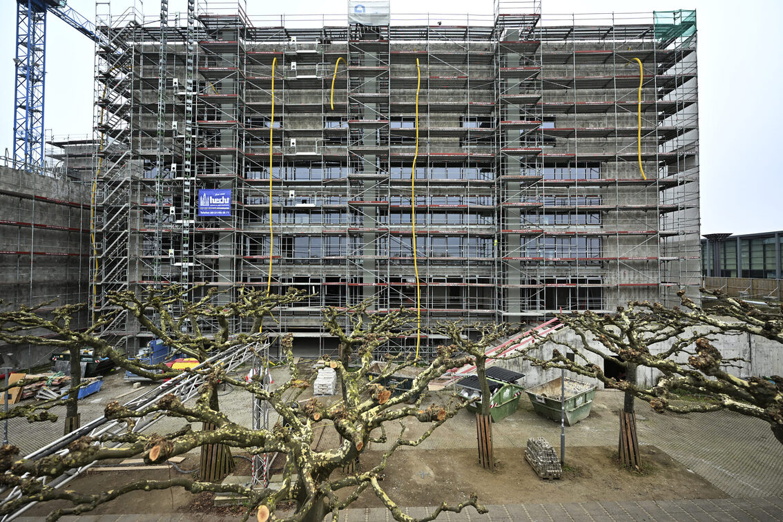 Dışarıdan iskeleli belediye binası, ön planda çınar ağaçları.