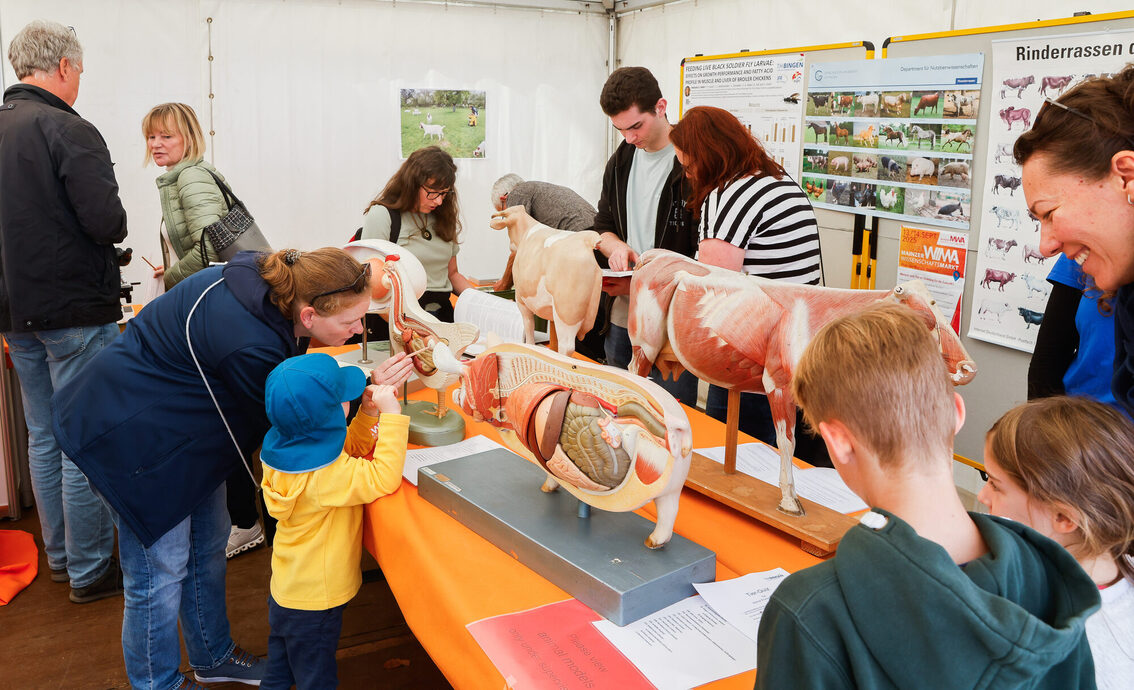 Ринок науки 2025