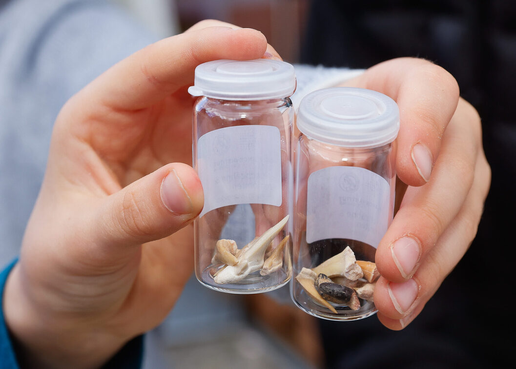 Ринок науки 2025