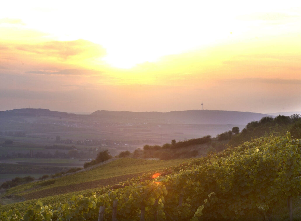La romantica Rheinhessen al tramonto