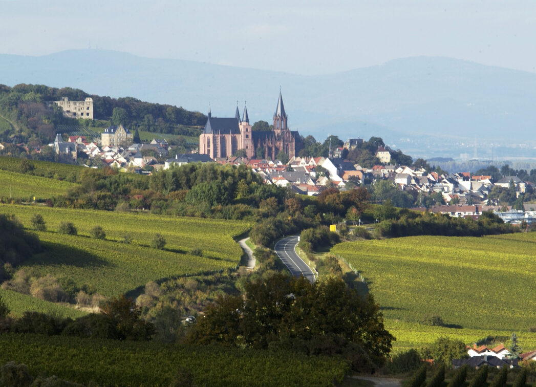Oppenheim con la chiesa di Santa Caterina e le rovine di Landskrone