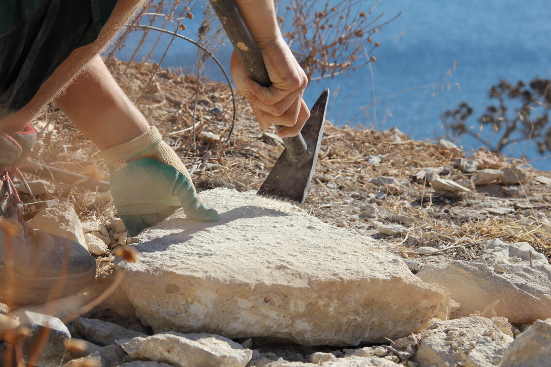 Внутрішньофірмовий тренінг для садівників на Криті