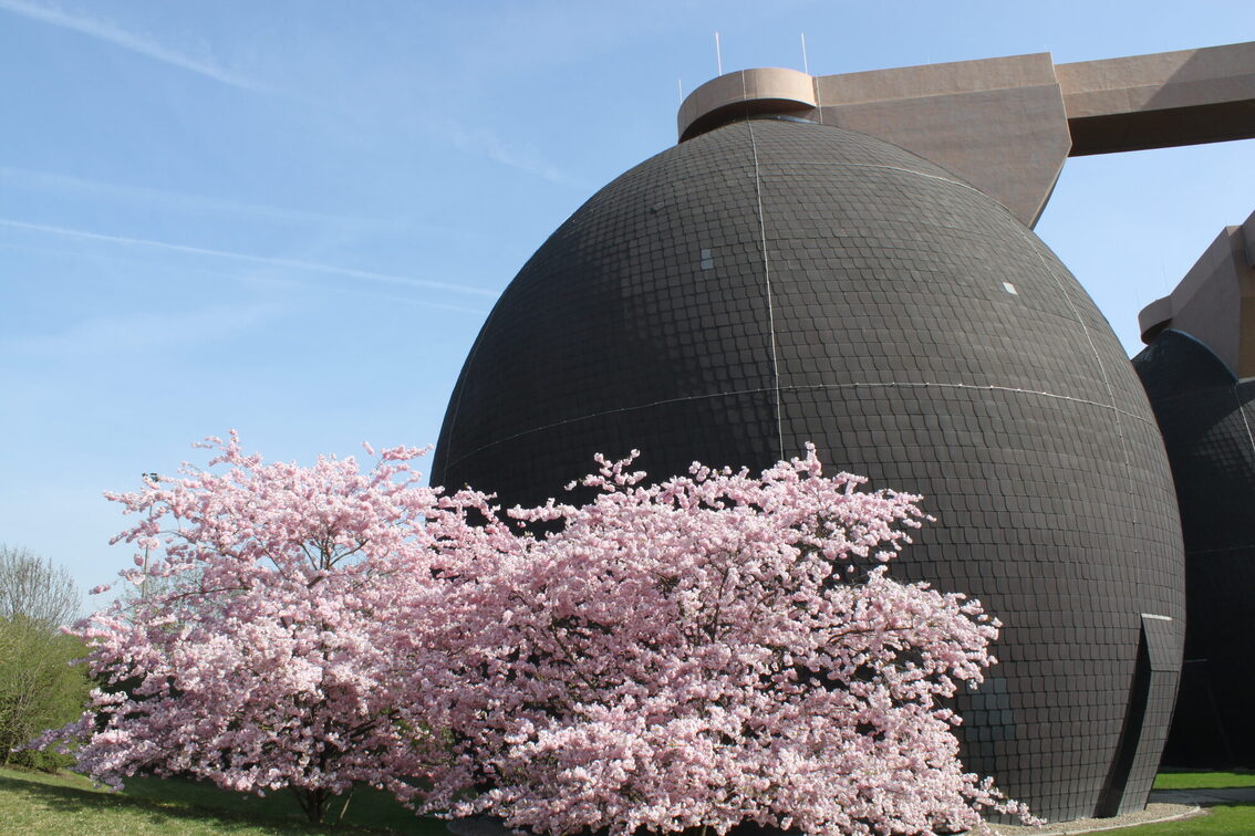 Des fleurs printanières devant les digesteurs