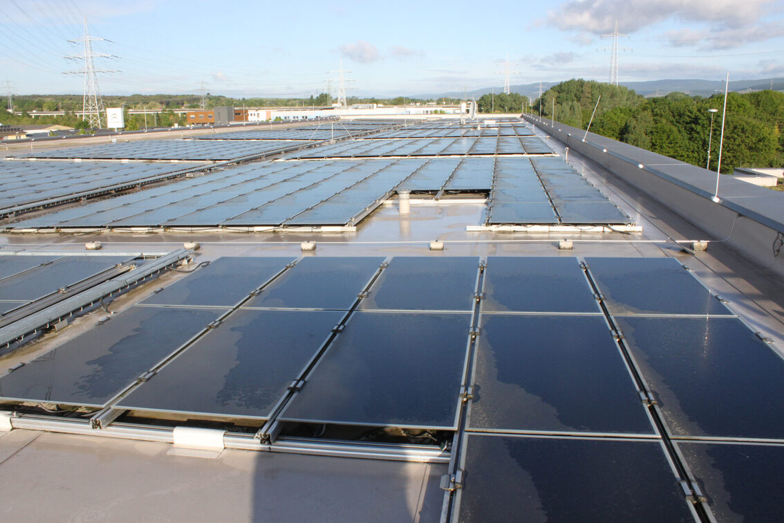 La photo montre l'installation solaire sur le toit du siège social.