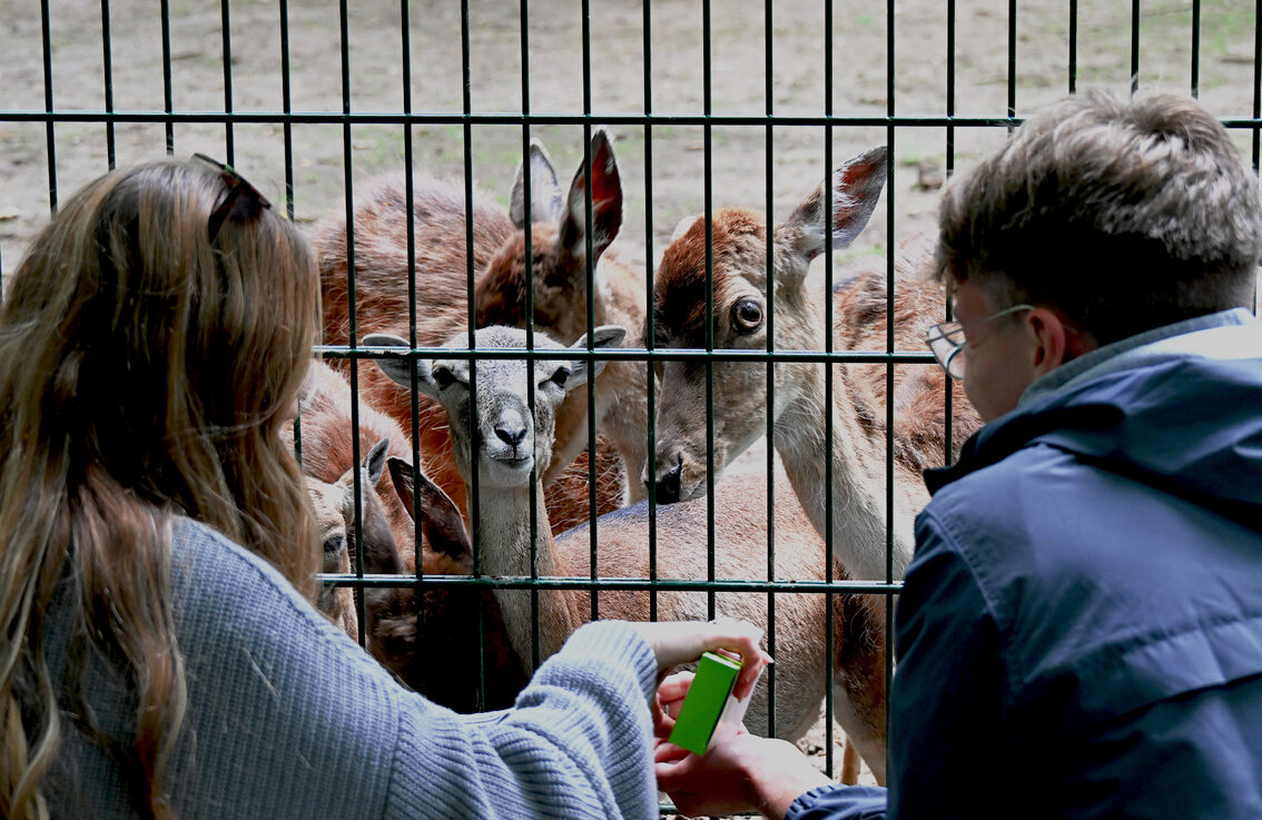 Visiteur au parc animalier de Gonsenheim