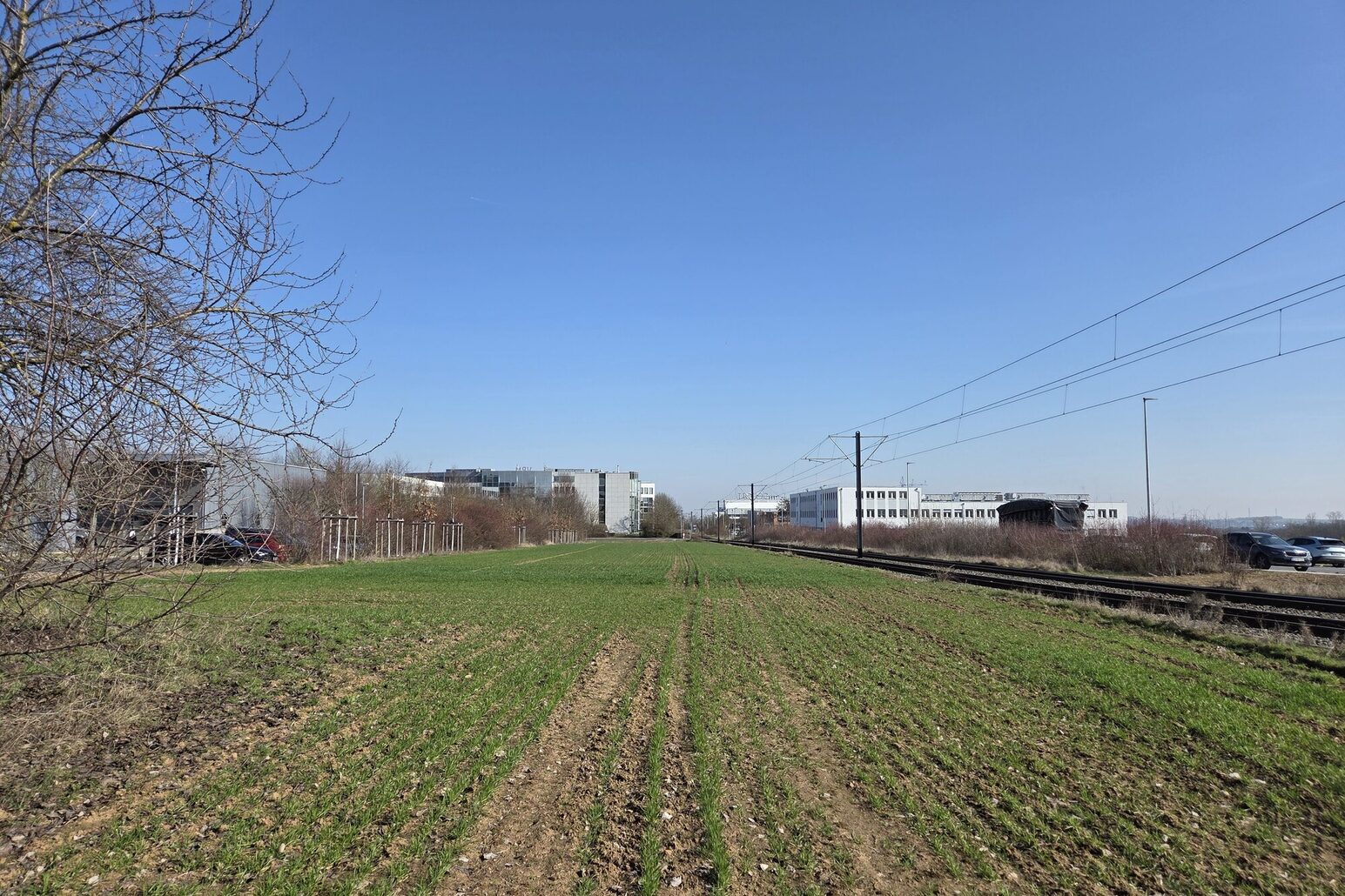 Ma30 Зелені насадження 2026