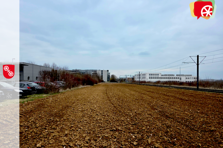 Фото Сільськогосподарські угіддя перед промисловою зоною