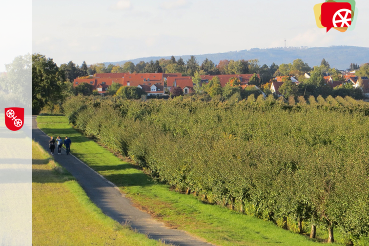 Вид на Майнц Драйс через поля