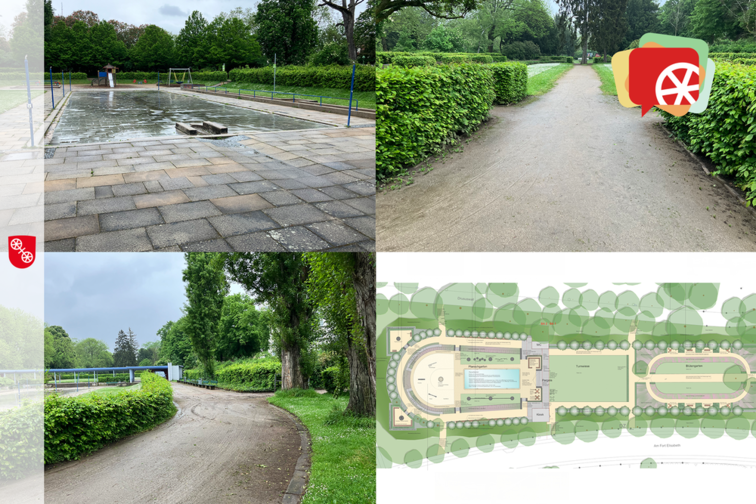 Колаж з фотографіями рослини