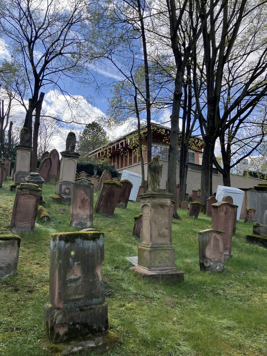 Nagrobki Stary cmentarz żydowski Moguncja