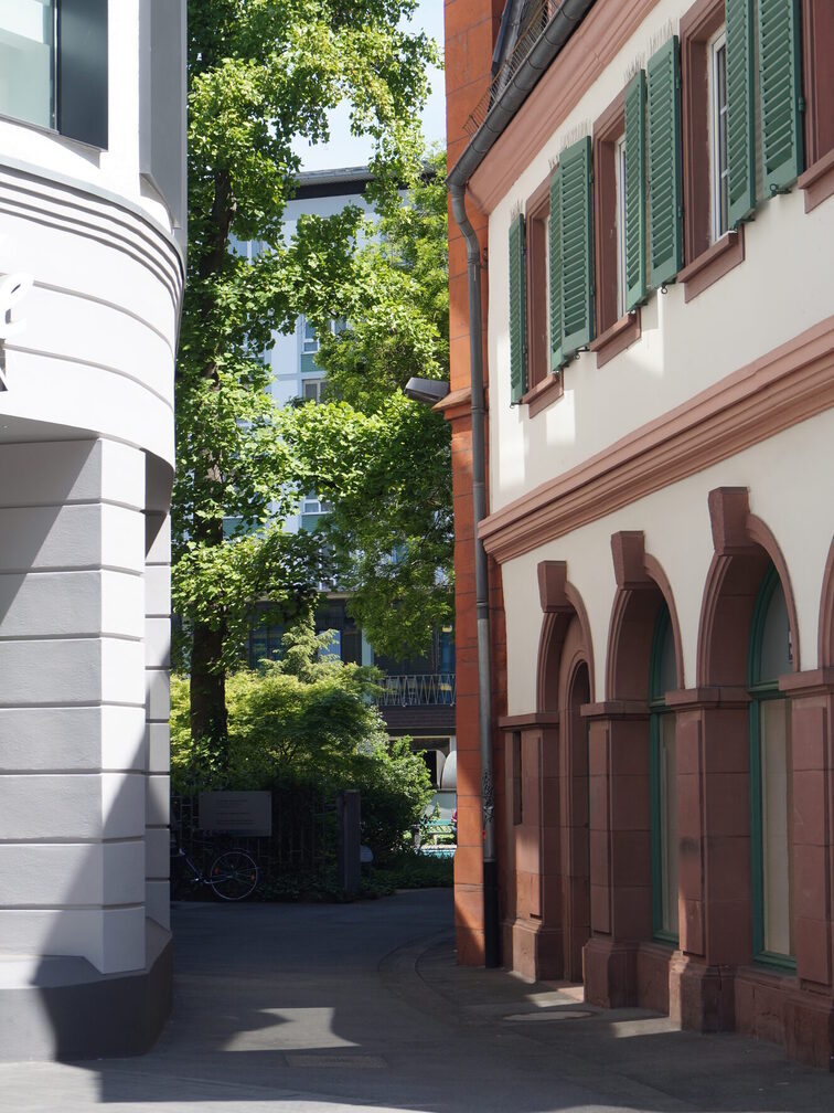 Дещо прихований вхід до парку