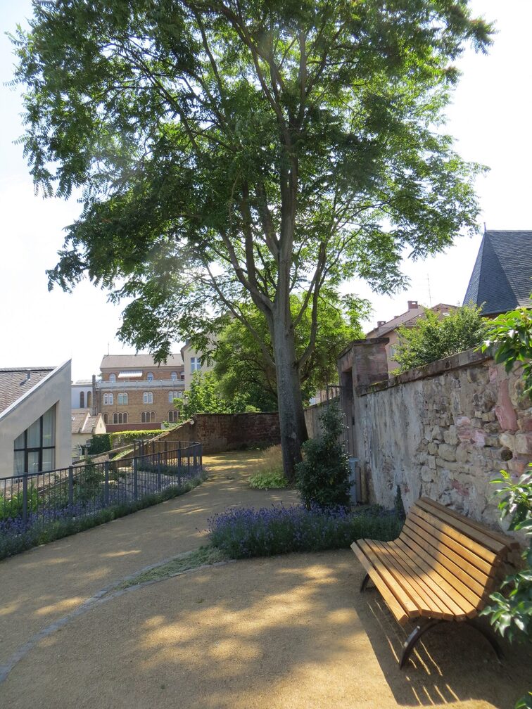 Лавка в Стефансгартені