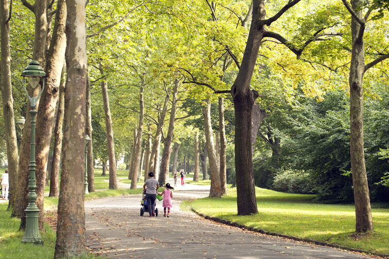 Promeneurs dans la ceinture verte de Mayence