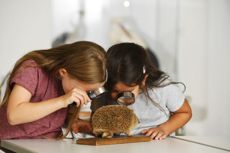 Deux enfants chercheurs