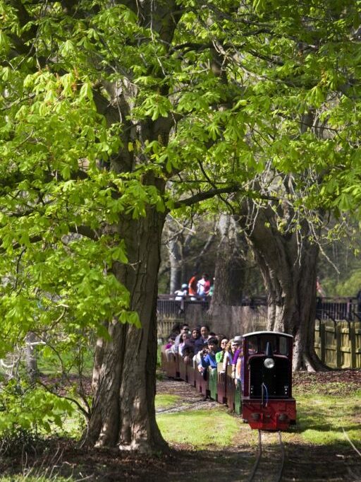 Watford, Parco Cassiobury