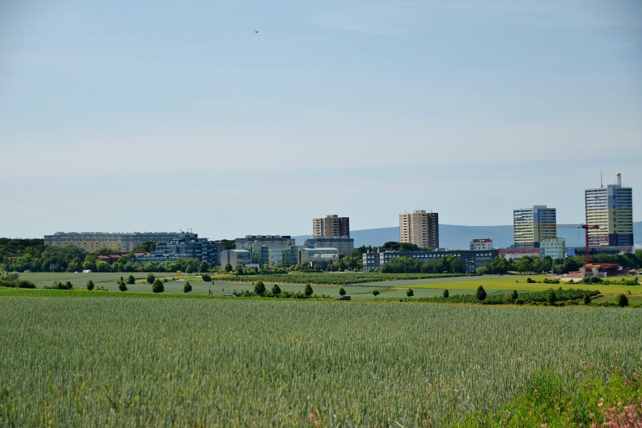 Widok na Lerchenberg z Draiser Senke