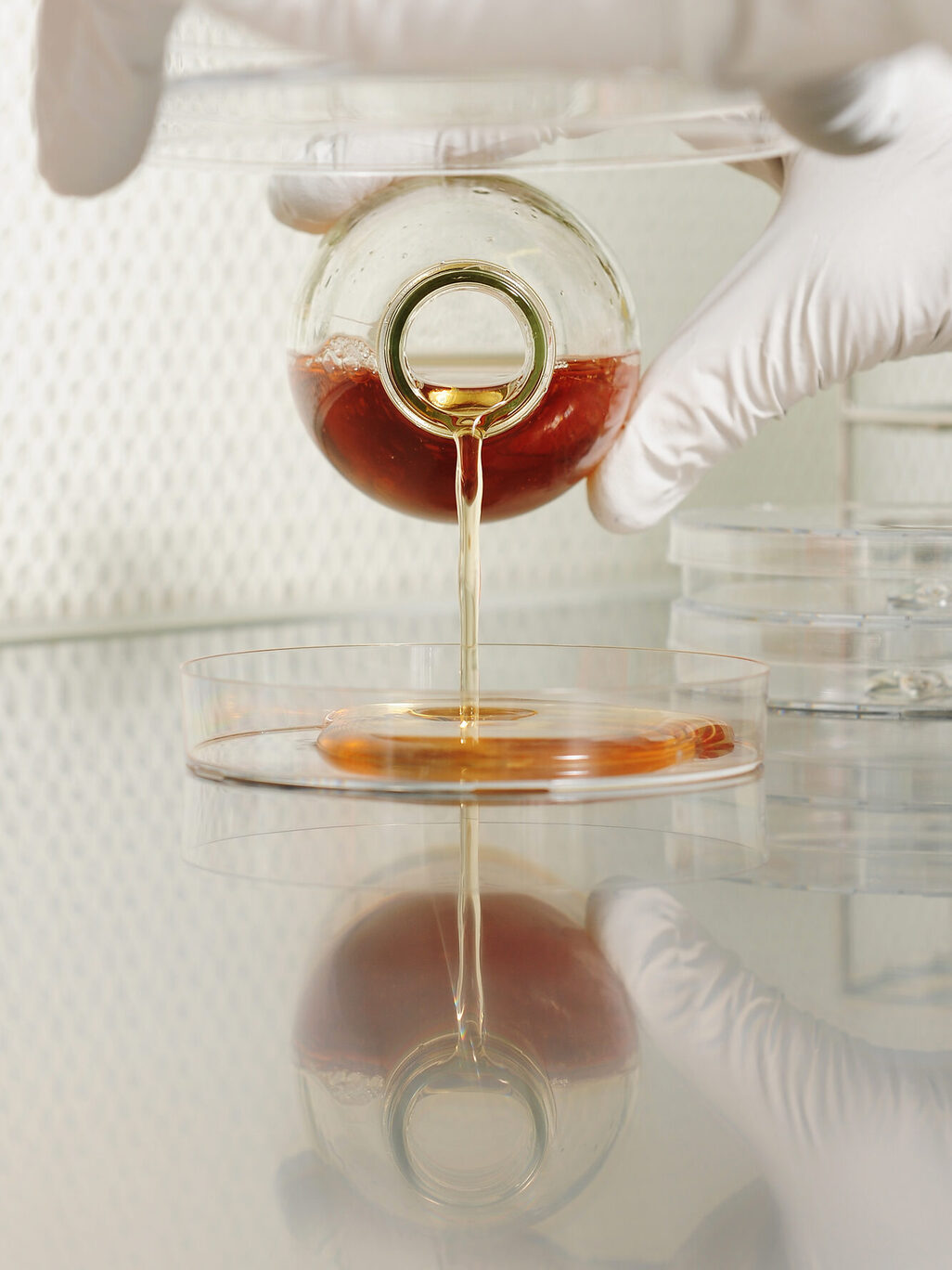 Dos manos con guantes blancos, una volcando cuidadosamente un líquido pardusco en un recipiente de cristal en un laboratorio, Universidad Johannes Gutenberg de Maguncia.