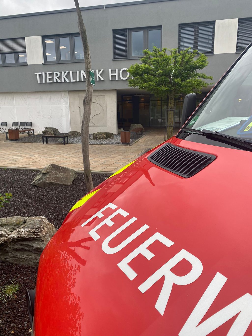 Exemple d'image clinique vétérinaire