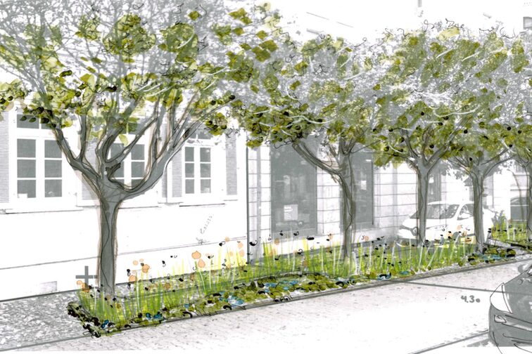 Schönbornstraße'nin köşesindeki Holzhofstraße'nin yeniden modellenmesi için tasarım