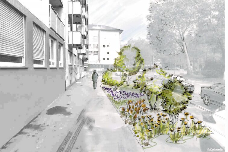 Kaiserstrasse'nin yeniden modellenmesi için tasarım