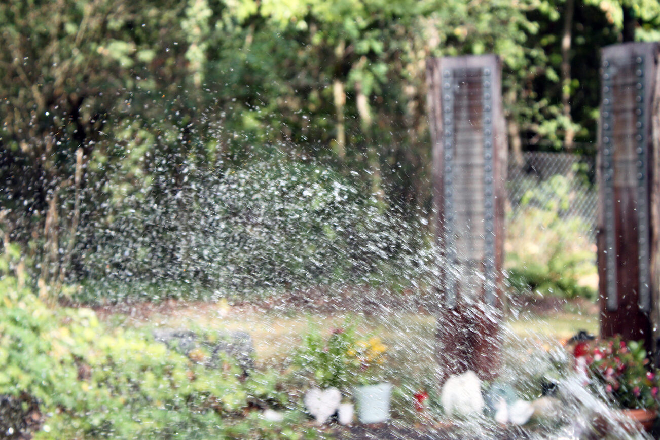 Scintillant : un instantané au cimetière de Gonsenheim.