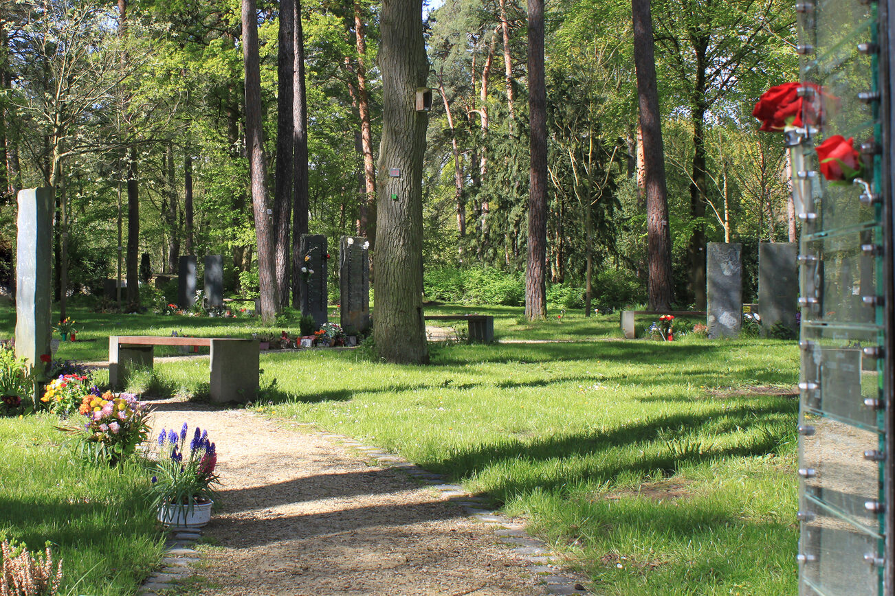 A la hauteur de son nom : le cimetière forestier de Mombach.