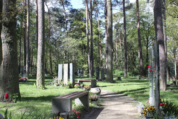 Un champ de tombes dans l'un des cimetières de Mayence.