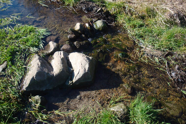 Das Bild zeigt klares Wassser im Gonsbach