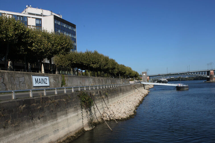 Les rives du Rhin à Mayence