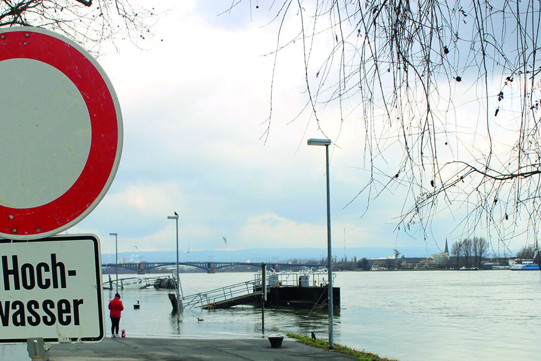 Les rives du Rhin en période de crue.