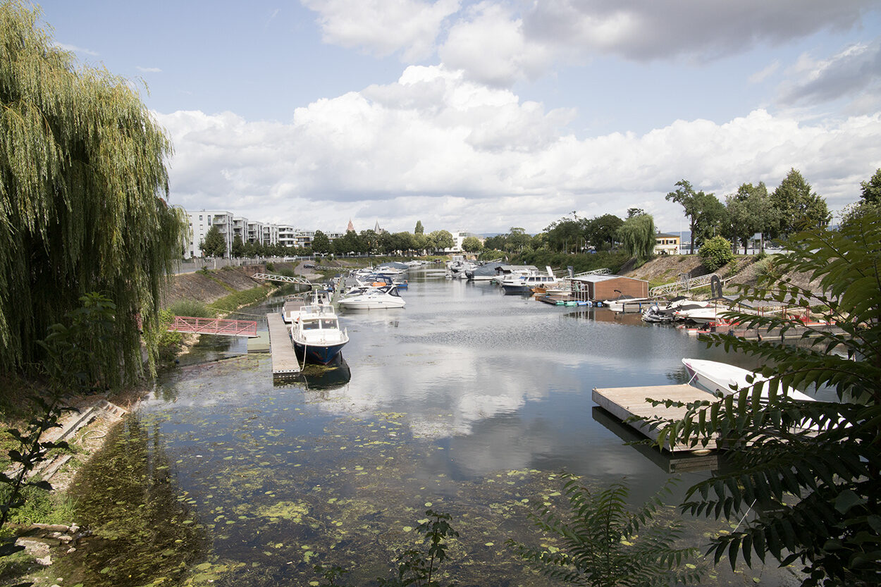 Vue sur le port d'hiver de Mayence