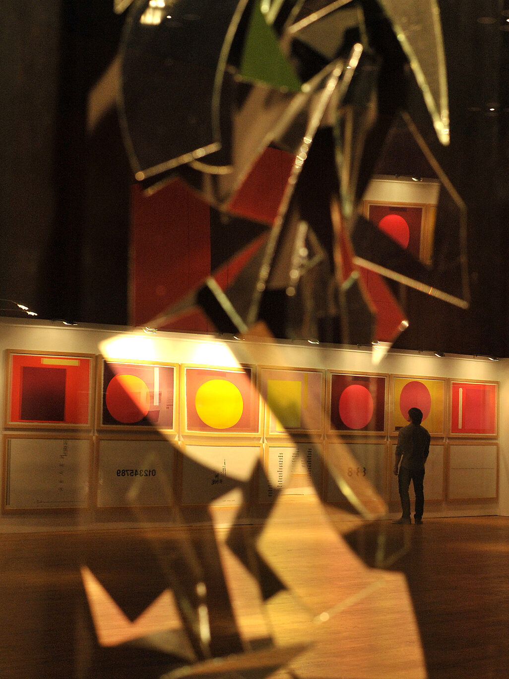 Експонати на виставці SPEKTRALE 2011