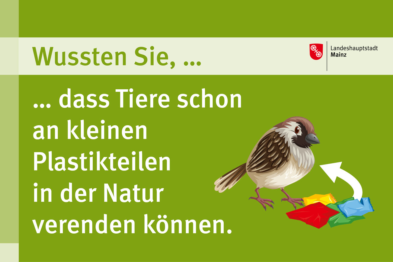 Навіть маленькі шматочки пластику можуть вбити тварин у дикій природі.
